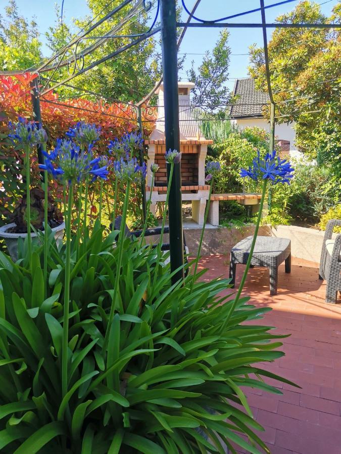 Casa Das Flores Ll Paredes de Coura Zewnętrze zdjęcie